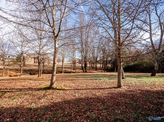 626 Beth Road, New Market, AL 35761