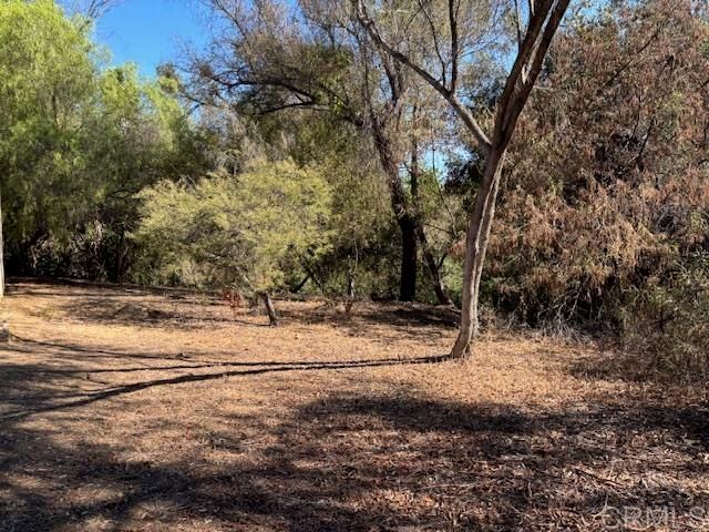 2852 Via Arroyo, Fallbrook, CA 92028