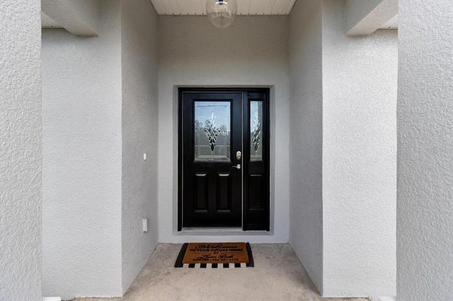 12385 BARNEVELDE ROAD, Weeki Wachee, FL 34614