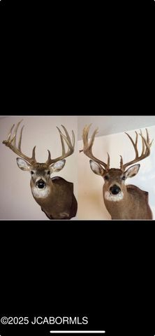 3312 HONEY CREEK ROAD, Jefferson City, MO 65101