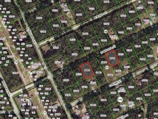 3676 & 3718 E WALKER STREET, Inverness, FL 34453