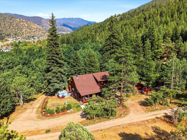 74 Silver Lode Circle, Dumont, CO 80436