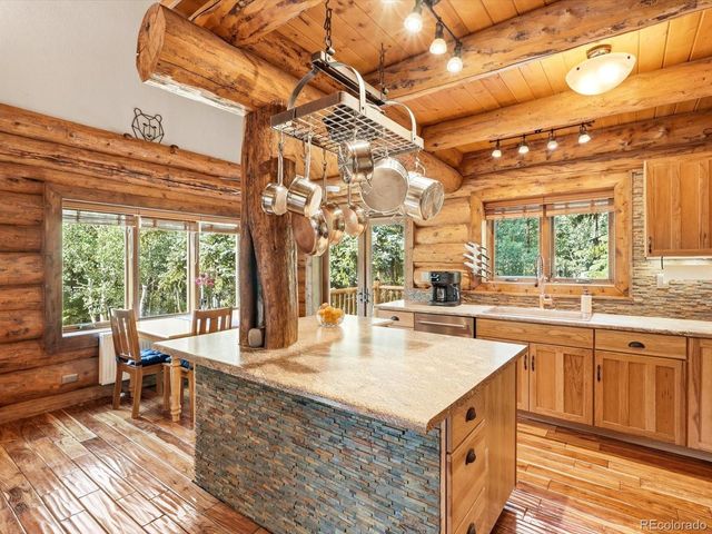 74 Silver Lode Circle, Dumont, CO 80436