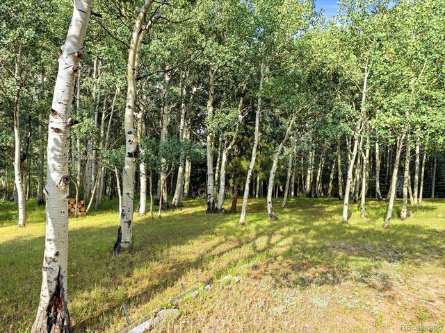 74 Silver Lode Circle, Dumont, CO 80436