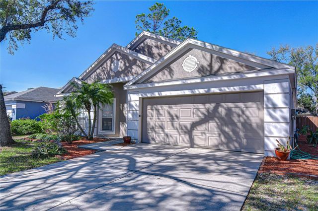 29019 OLD MARSH, Wesley Chapel, FL 33543