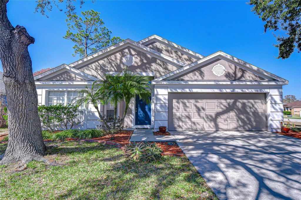 29019 OLD MARSH, Wesley Chapel, FL 33543
