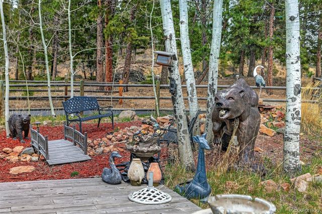12098 Broken Arrow Drive, Conifer, CO 80433