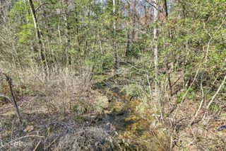 606 Dogwood Rd, Grandview, TN 37337