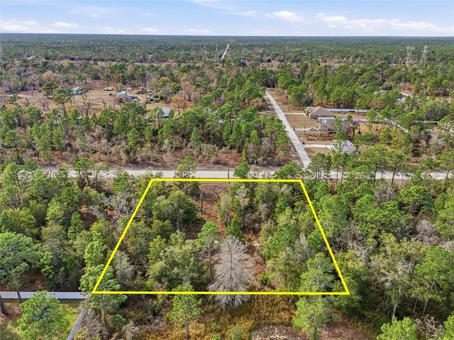 CHIMNEY SWIFT ROAD, Weeki Wachee, FL 34614