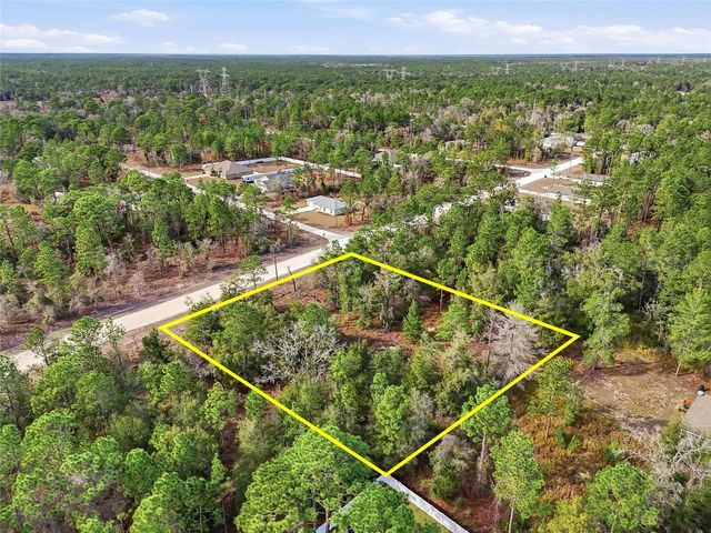 CHIMNEY SWIFT ROAD, Weeki Wachee, FL 34614