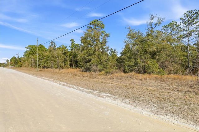 CHIMNEY SWIFT ROAD, Weeki Wachee, FL 34614