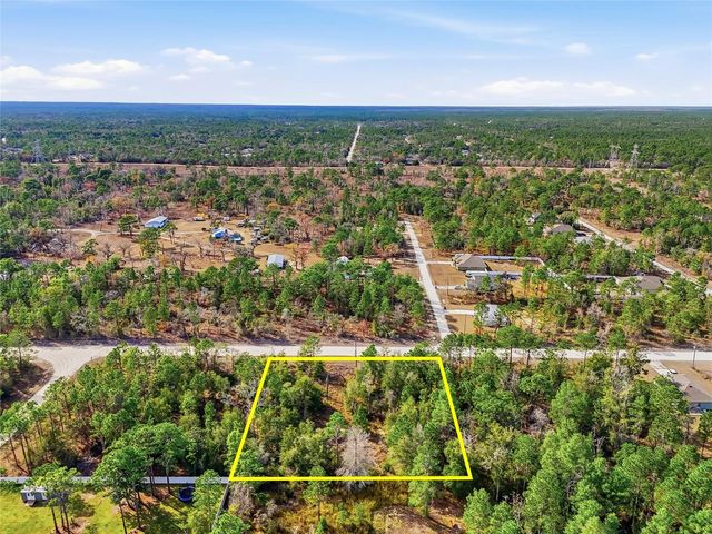 CHIMNEY SWIFT ROAD, Weeki Wachee, FL 34614