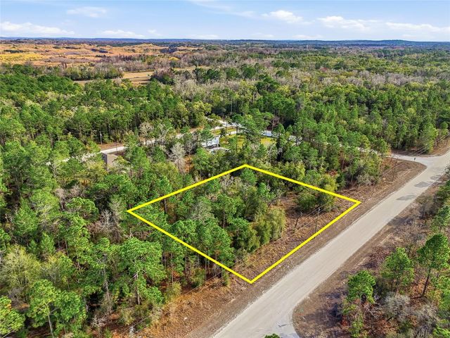 CHIMNEY SWIFT ROAD, Weeki Wachee, FL 34614
