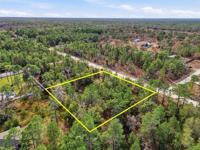 CHIMNEY SWIFT ROAD, Weeki Wachee, FL 34614