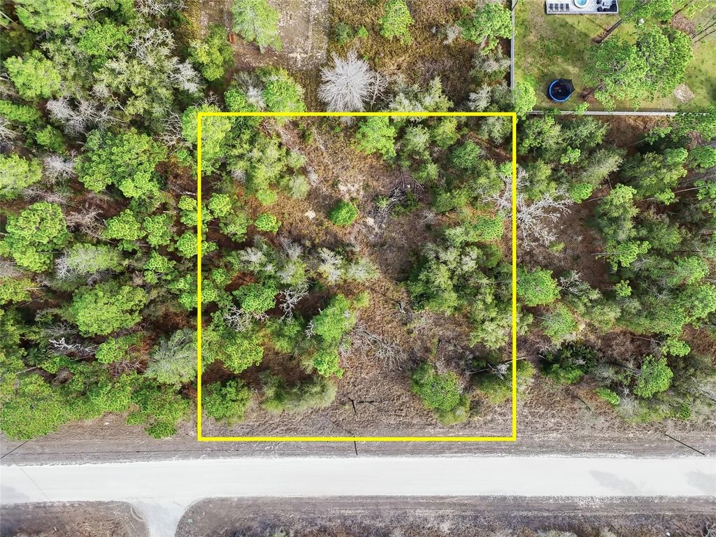 CHIMNEY SWIFT ROAD, Weeki Wachee, FL 34614
