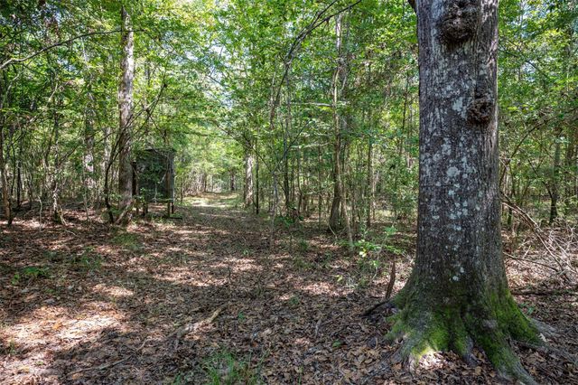 tbd County Road 4520, Warren, TX 77664