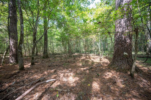 tbd County Road 4520, Warren, TX 77664