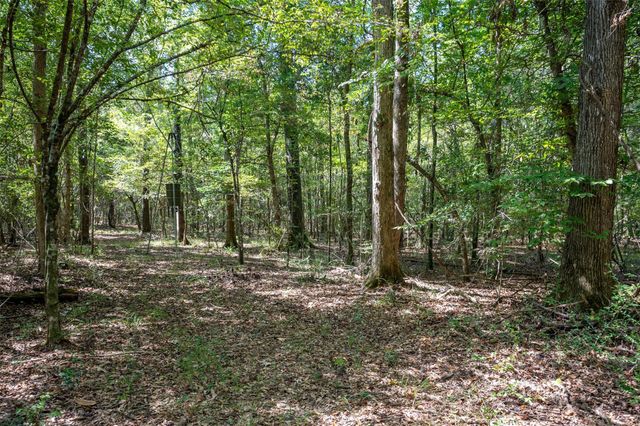 tbd County Road 4520, Warren, TX 77664