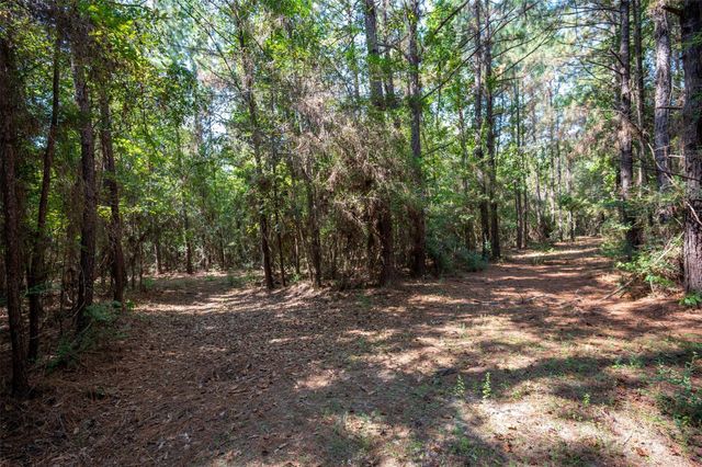 tbd County Road 4520, Warren, TX 77664