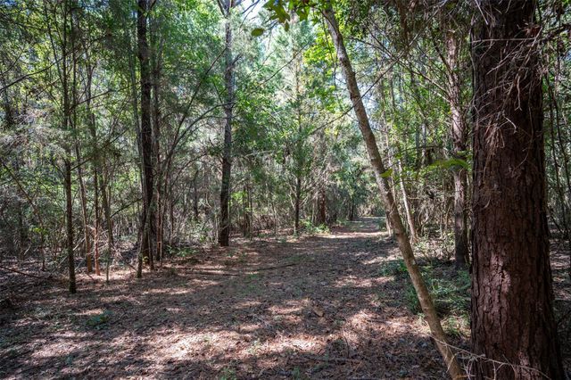 tbd County Road 4520, Warren, TX 77664