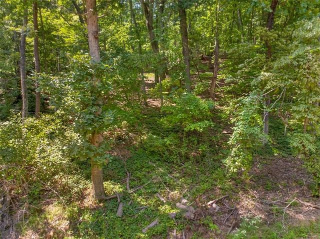0 Waters Edge Drive, Clarkesville, GA 30523