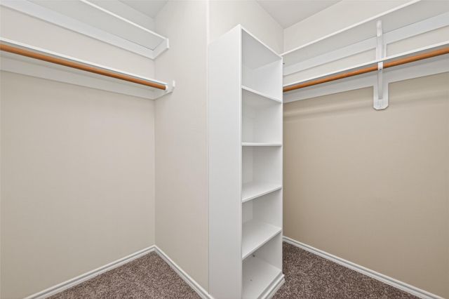 169 Musewood Court, The Woodlands, TX 77382