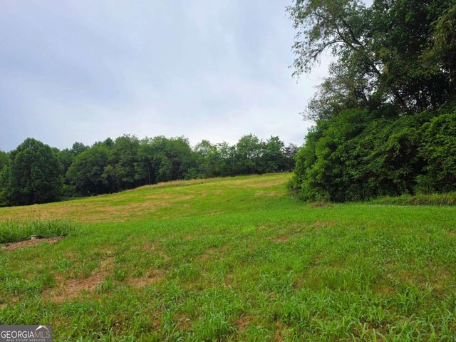 2490 New Hope Road 3, Morganton, GA 30560