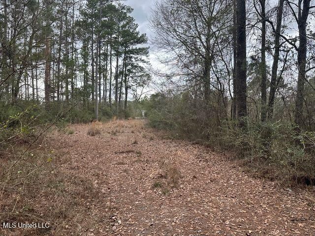 914 Beverly Hills Road, Hattiesburg, MS 39401