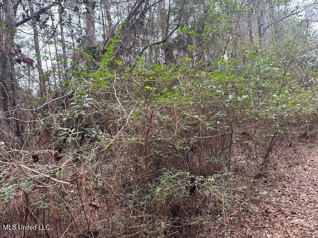914 Beverly Hills Road, Hattiesburg, MS 39401