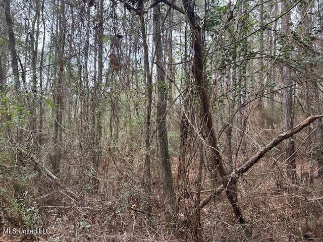 914 Beverly Hills Road, Hattiesburg, MS 39401