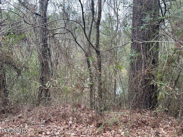 914 Beverly Hills Road, Hattiesburg, MS 39401