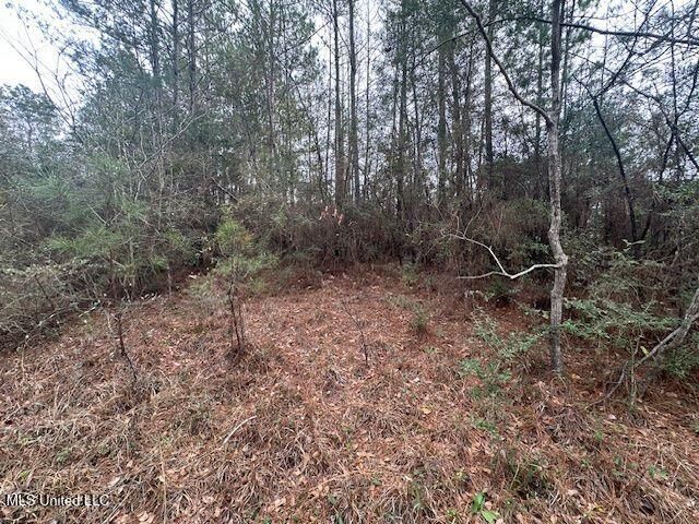 914 Beverly Hills Road, Hattiesburg, MS 39401