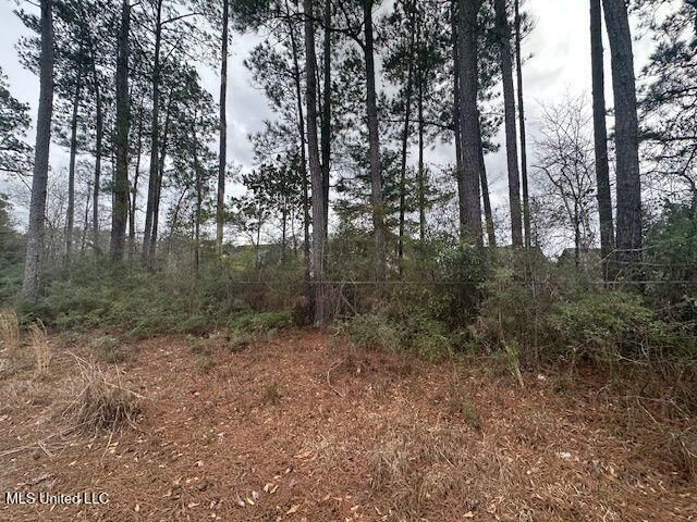 914 Beverly Hills Road, Hattiesburg, MS 39401