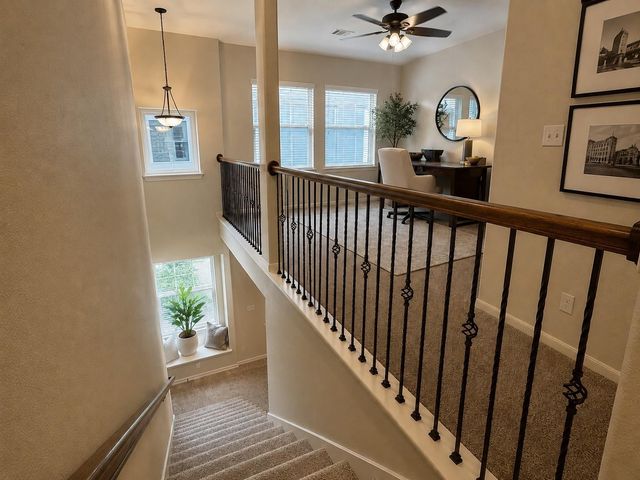228 Cheswood Forest Place, Montgomery, TX 77316
