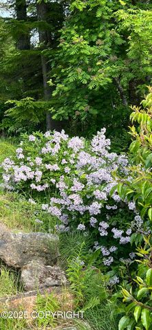 301 Cedar Street, Craig, AK 99921