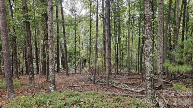 99999 Sunnyview Terrace A, Asheville, NC 28806