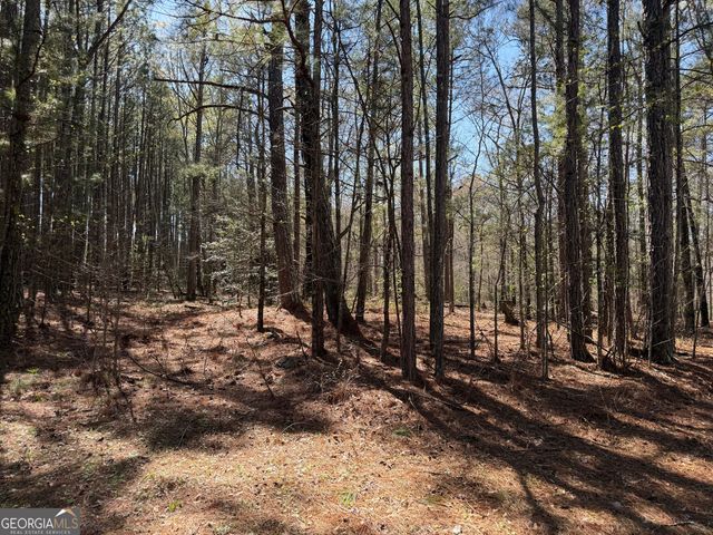 1430 Cleveland Farm Road, Locust Grove, GA 30248