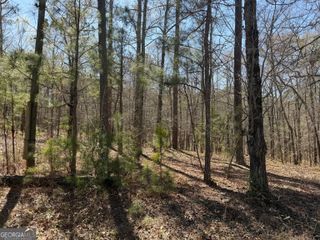 1430 Cleveland Farm Road, Locust Grove, GA 30248