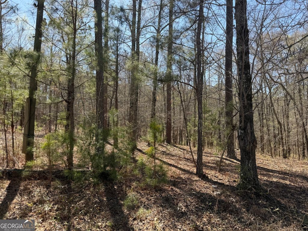 1430 Cleveland Farm Road, Locust Grove, GA 30248
