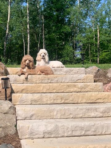 5465 Samels Road, Williamsburg, MI 49690