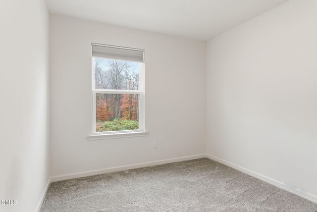 449 Hacksaw Trail, Raleigh, NC 27610