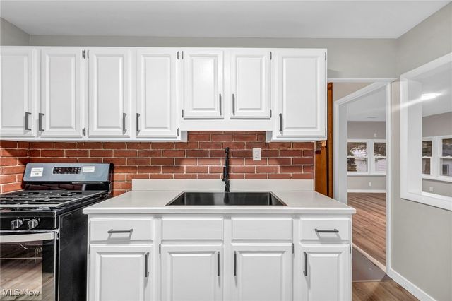 127 Palmetto Avenue, Akron, OH 44301