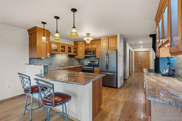 129 Sky View Drive S, Nederland, CO 80466