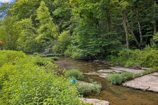 8188 Shoals Branch Rd, Primm Springs, TN 38476