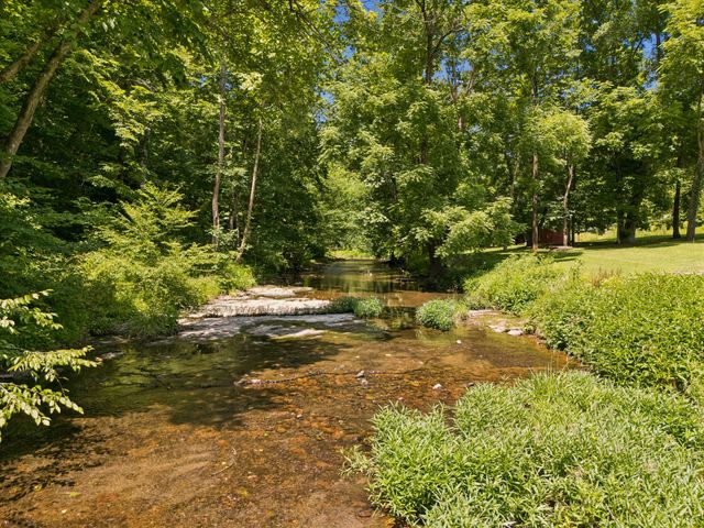 8188 Shoals Branch Rd, Primm Springs, TN 38476