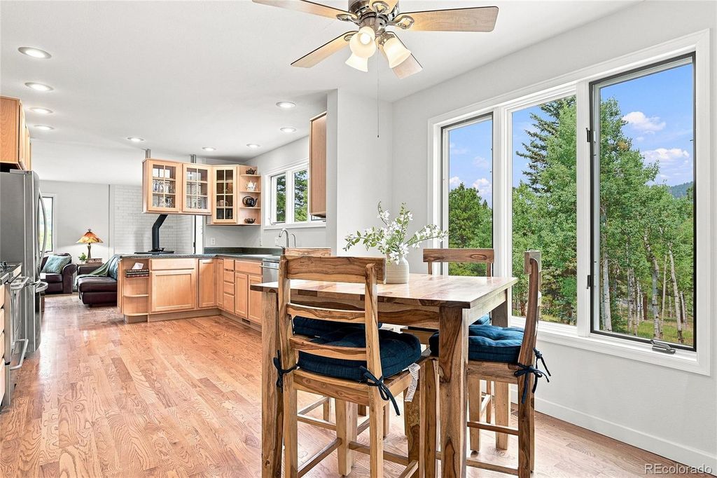 25457 Snyder Avenue, Conifer, CO 80433