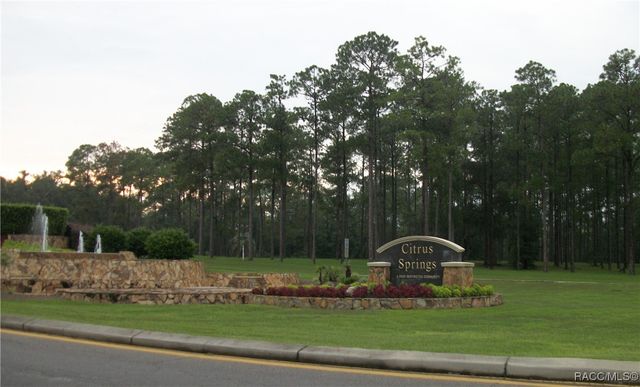 8776 N Athens Drive, Citrus Springs, FL 34433