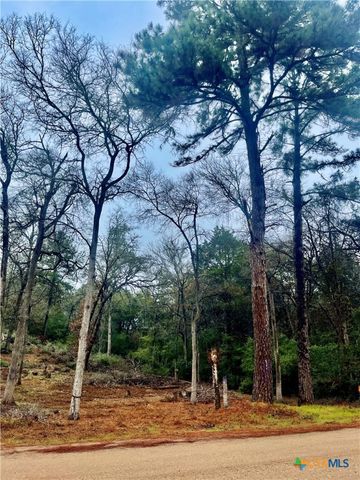 122 Helemano Drive, Bastrop, TX 78602
