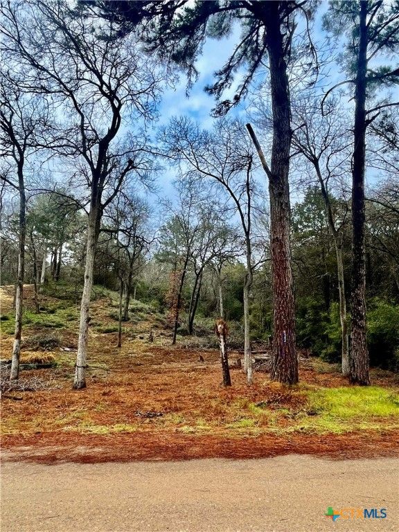 122 Helemano Drive, Bastrop, TX 78602