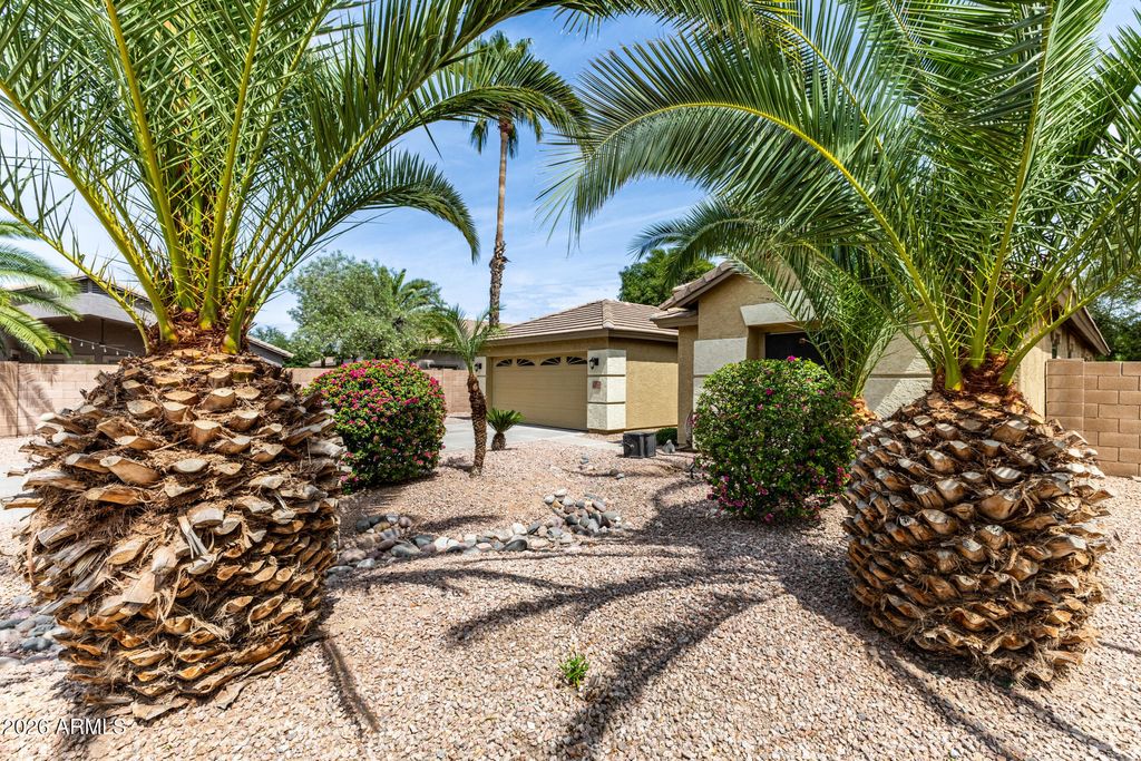 Image 5 of property listing at 1521 S VELERO Place, Chandler, AZ 85286